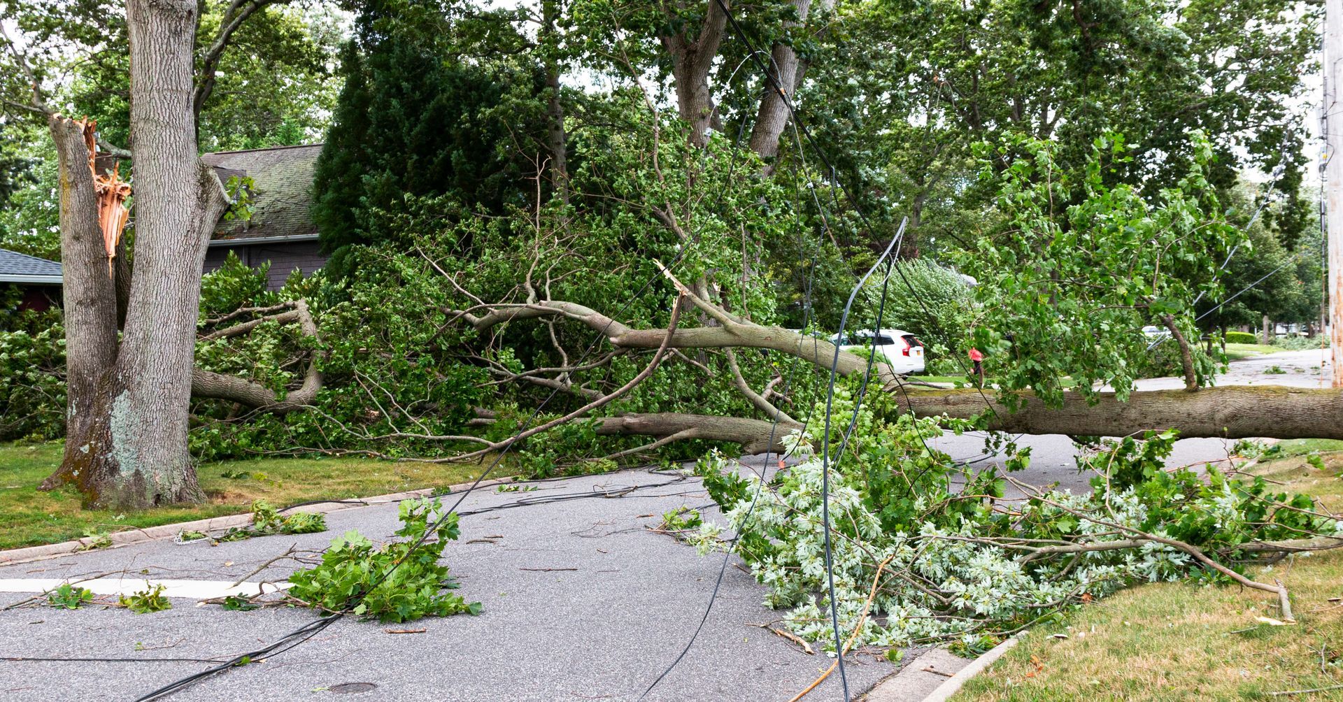 Storm-damaged street with fallen tree limbs blocking the road and sidewalk.