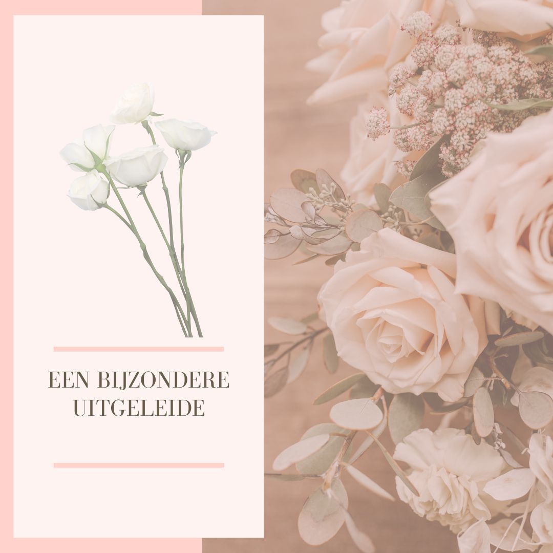 Light pink floral arrangement with white flowers. Text reads 