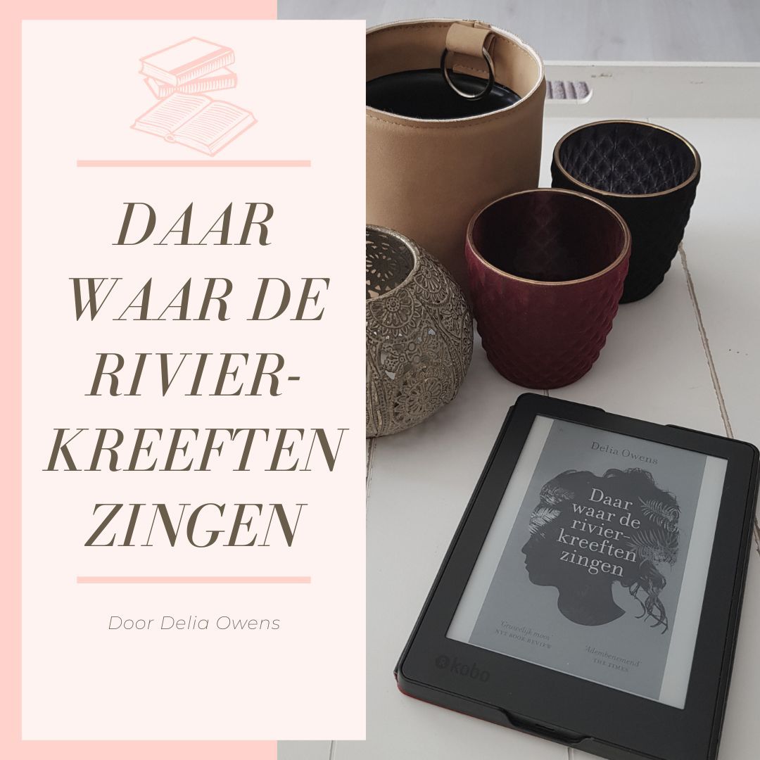 Roze boekomslag met tekst, e-reader en decoratieve potten op een witte ondergrond.