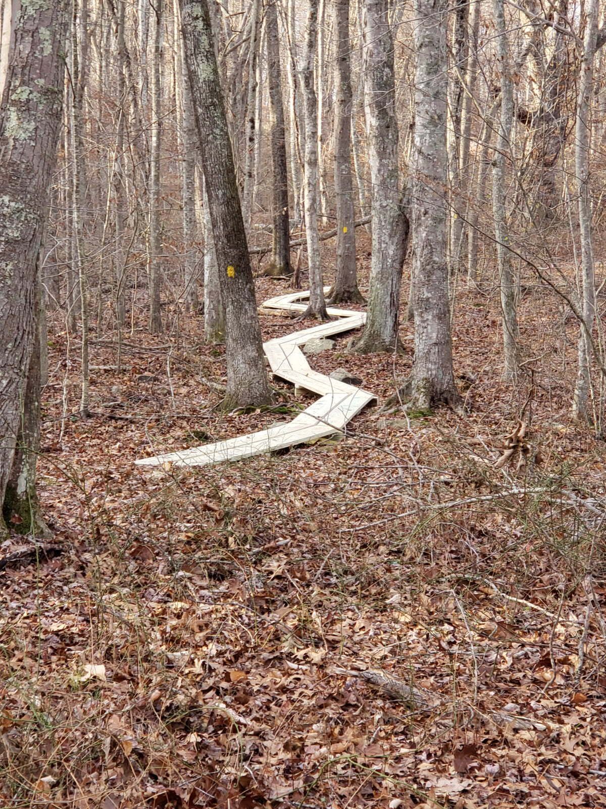 Boardwalk trail winds through a brown forest, marked with a yellow trail marker.