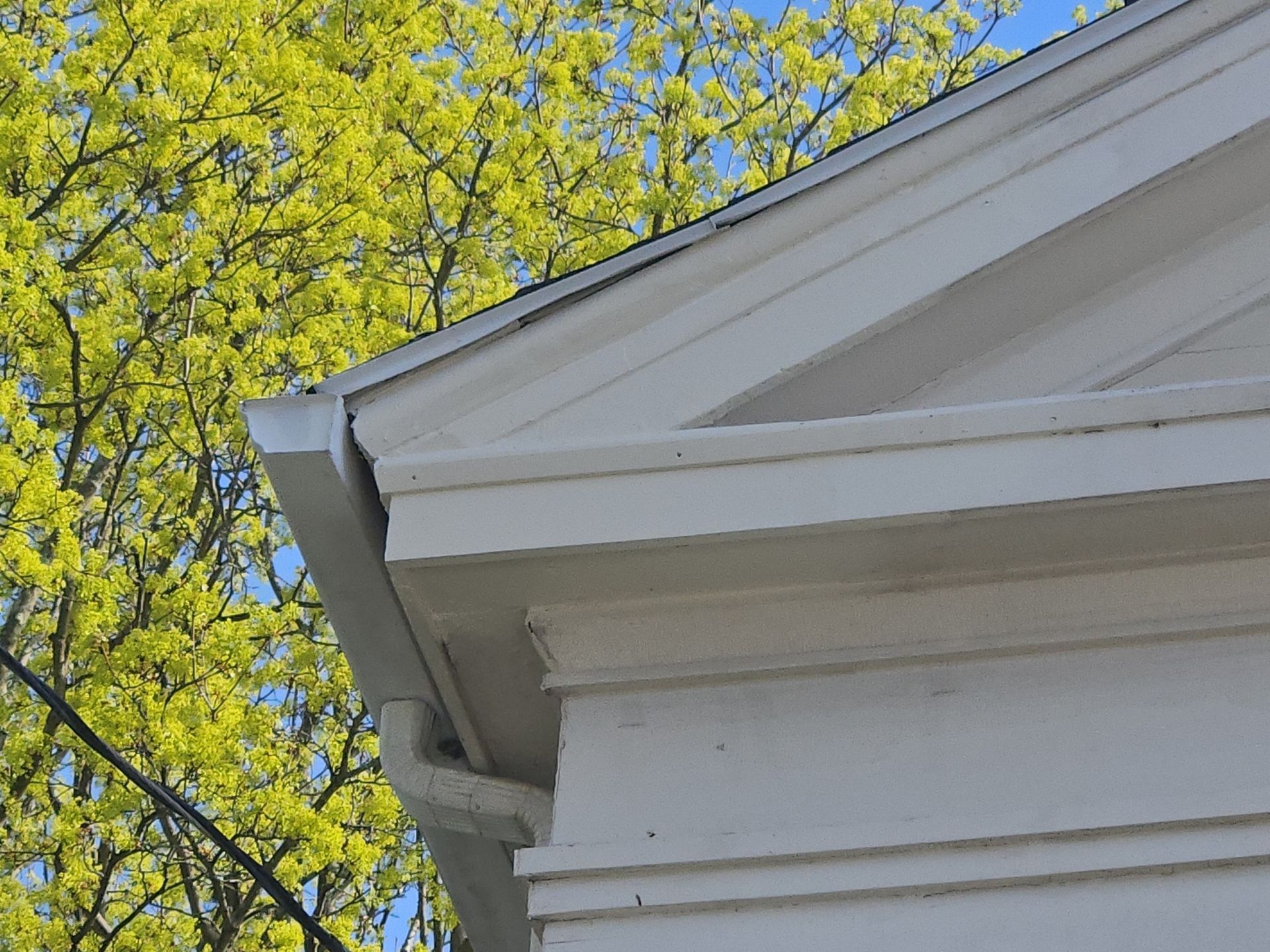 White house corner with gutter, blue sky, and green tree in background.