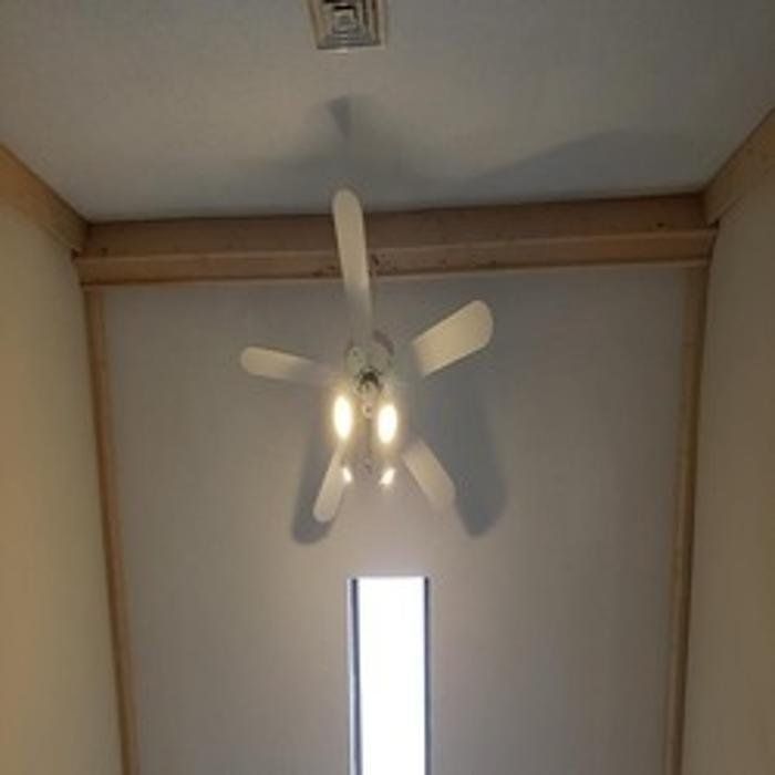 Ceiling fan with lights, mounted on a white ceiling with a window and trim.