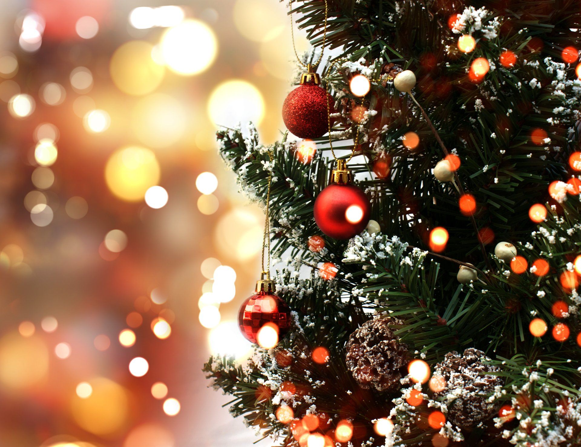 Festividades de diciembre