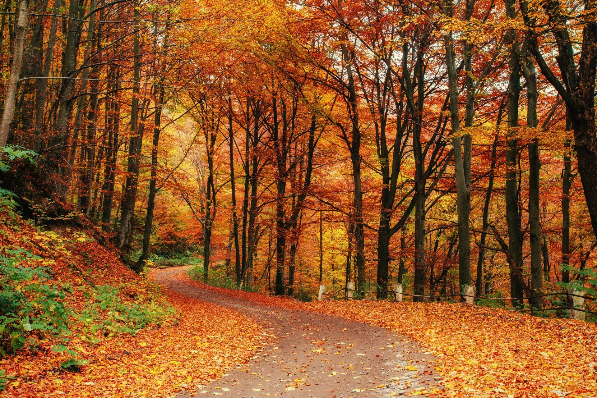 ¿Cómo es otoño para las au pair?
