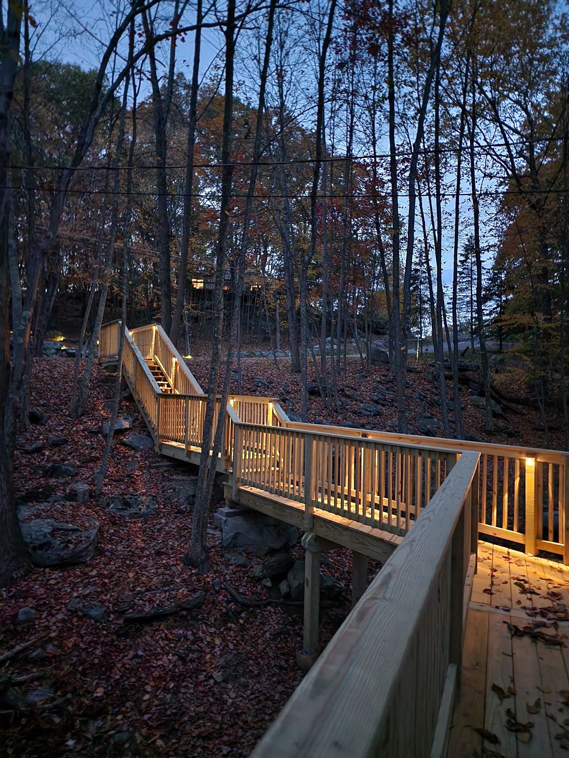 Beautiful ambiance of a walkway in the woods
