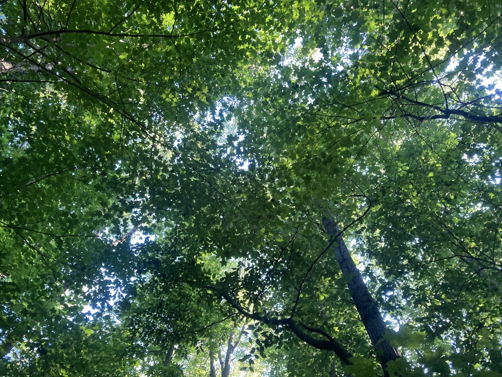 Heritage Habitat & Forestry Centerburg, OH