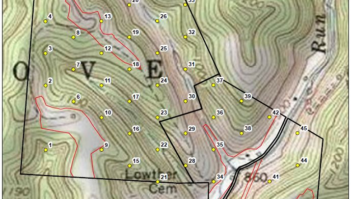 forest inventory and valuation