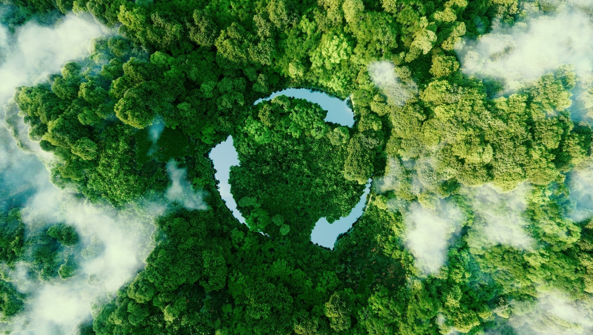 forest carbon consulting
