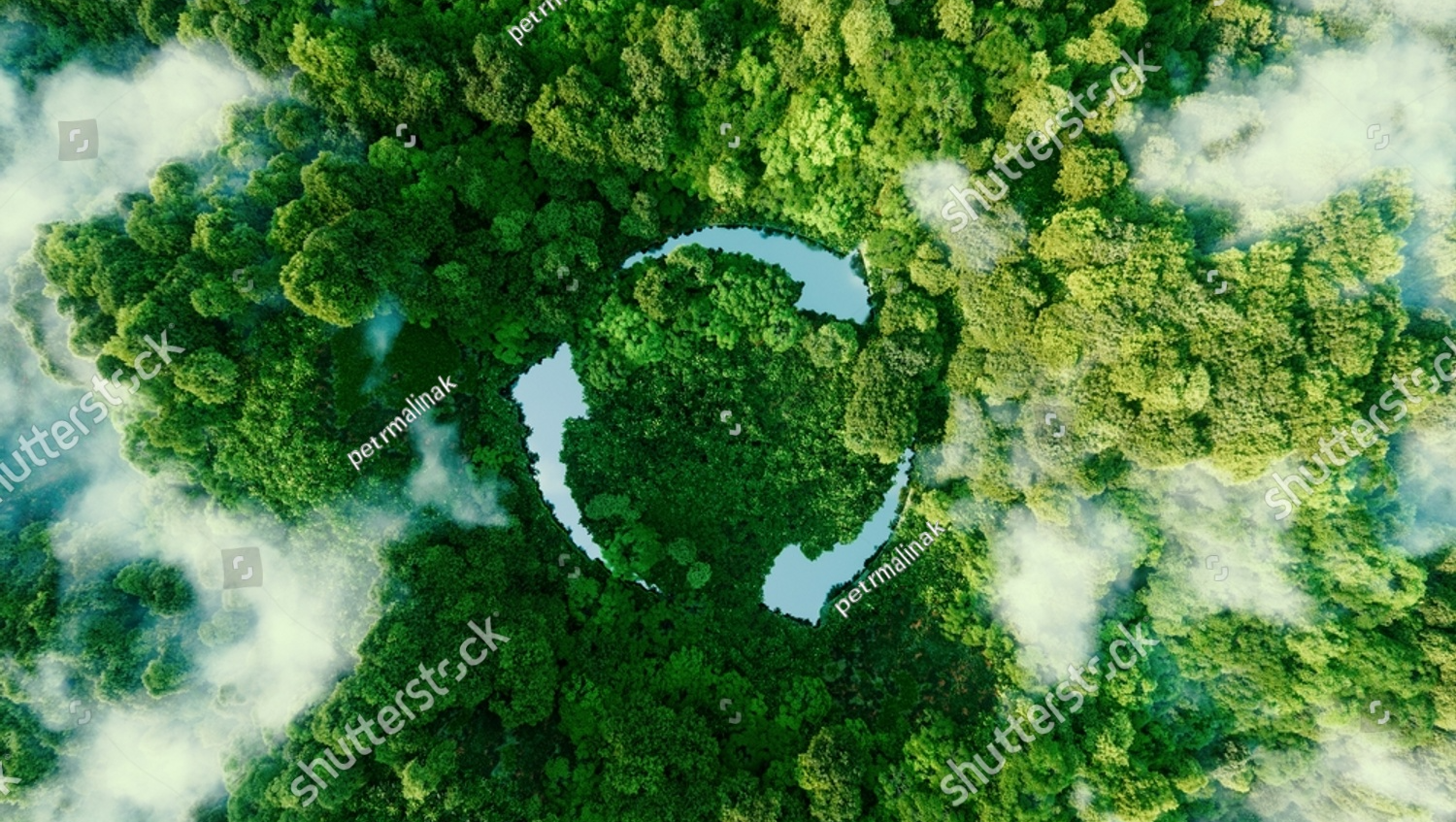 forest carbon consulting