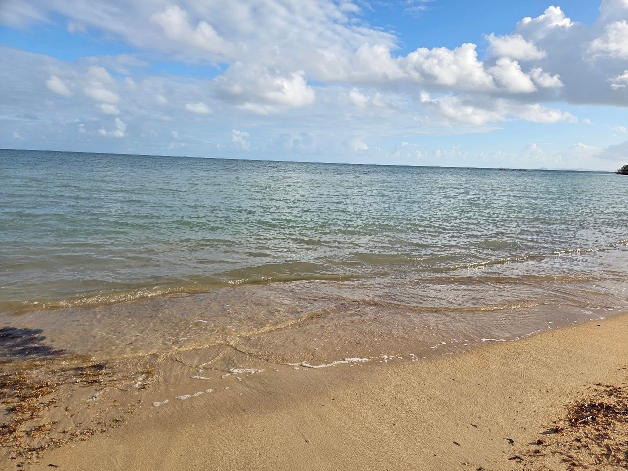 A sandy beach meets calm, blue-green ocean waters under a bright, cloudy sky.