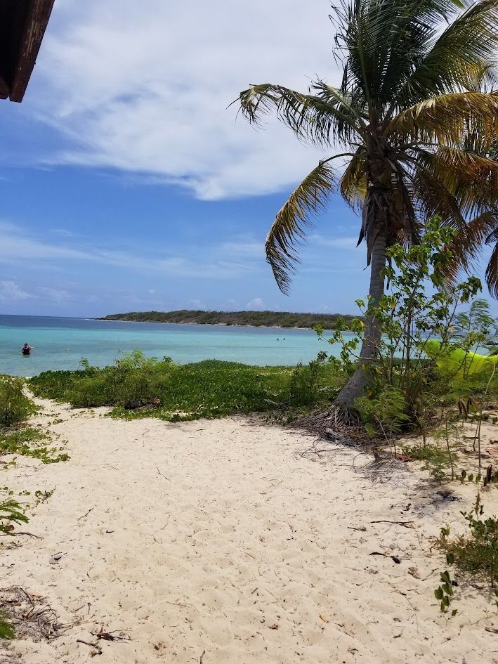 White sand beach with turquoise water and blue sky.