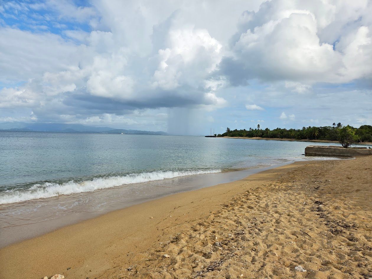 Sandy beach with turquoise water under a blue sky. Vegetation on the left.
