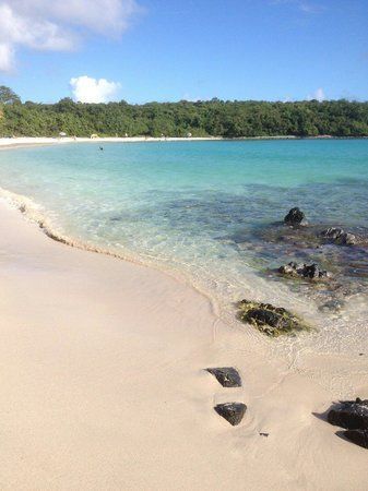 Sandy beach with clear turquoise water and lush green trees.