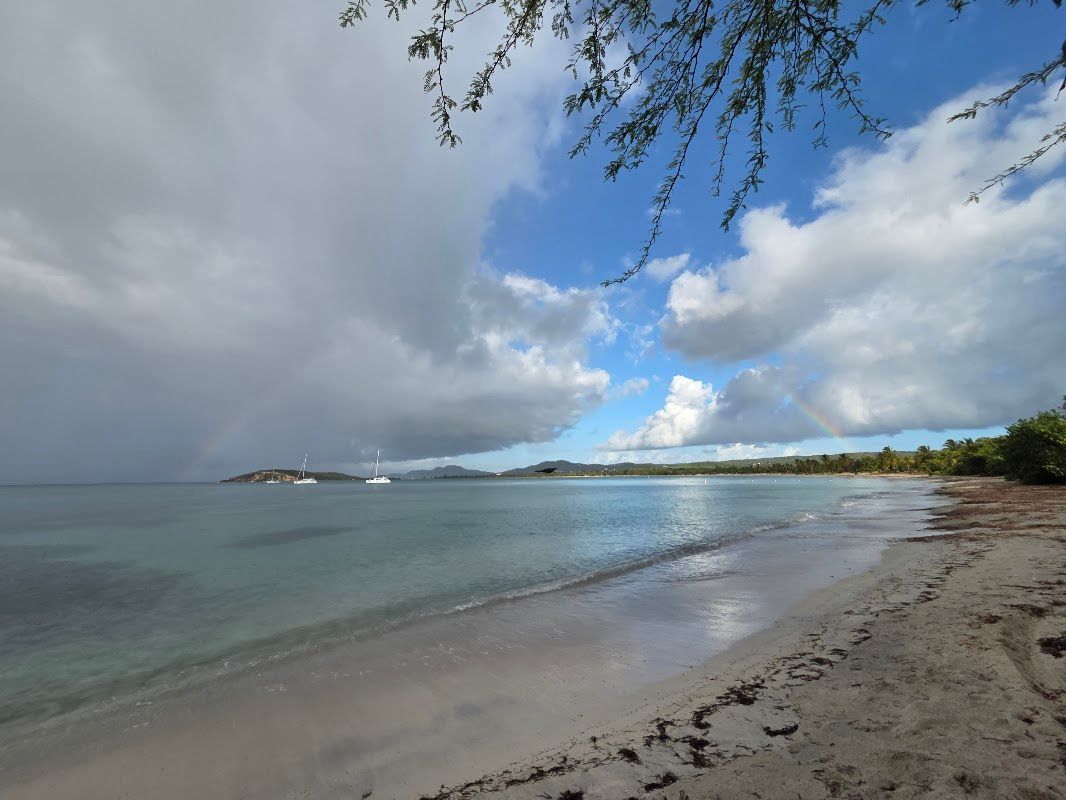 Beach scene: People relax on sand, children play in water. Sailboat, palm trees, blue sky.
