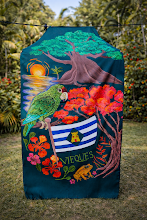 A banner featuring a green parrot, sunset, red-flowered tree, a frog, and the Vieques flag on a dark green background.