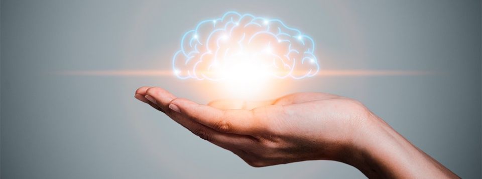 Neuromarketing na sua empresa - Blog Reach