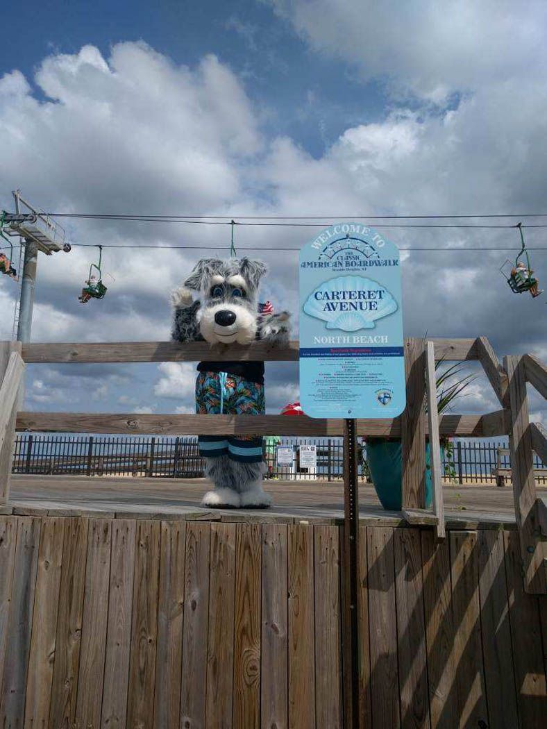 Stuffed dog figure on fence next to sign for 
