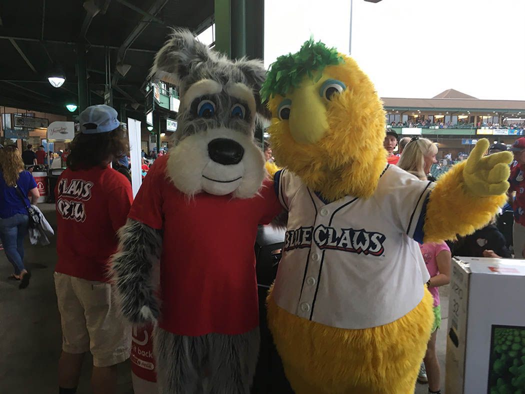 Two mascots, a gray dog and yellow bird, pose together at a baseball game.