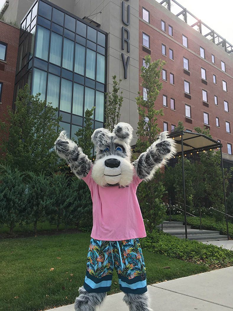 Dog mascot in pink shirt and floral shorts gives thumbs up in front of a hotel.