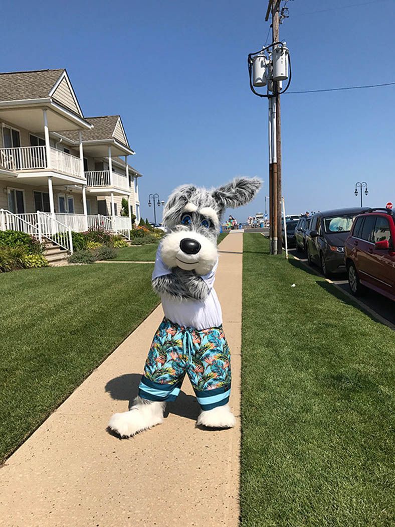 Dog mascot in colorful shorts stands on a sidewalk by the beach.