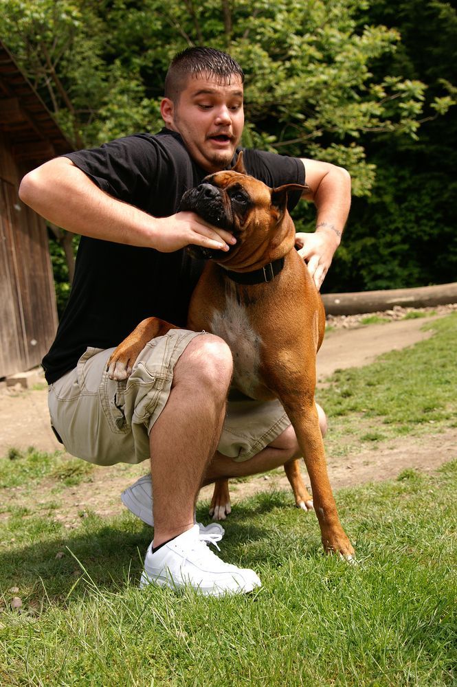Man and brown dog playfully interacting outdoors on grass. Man is crouching and holding his mouth.