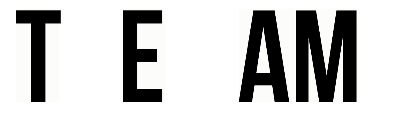 The Game Logo