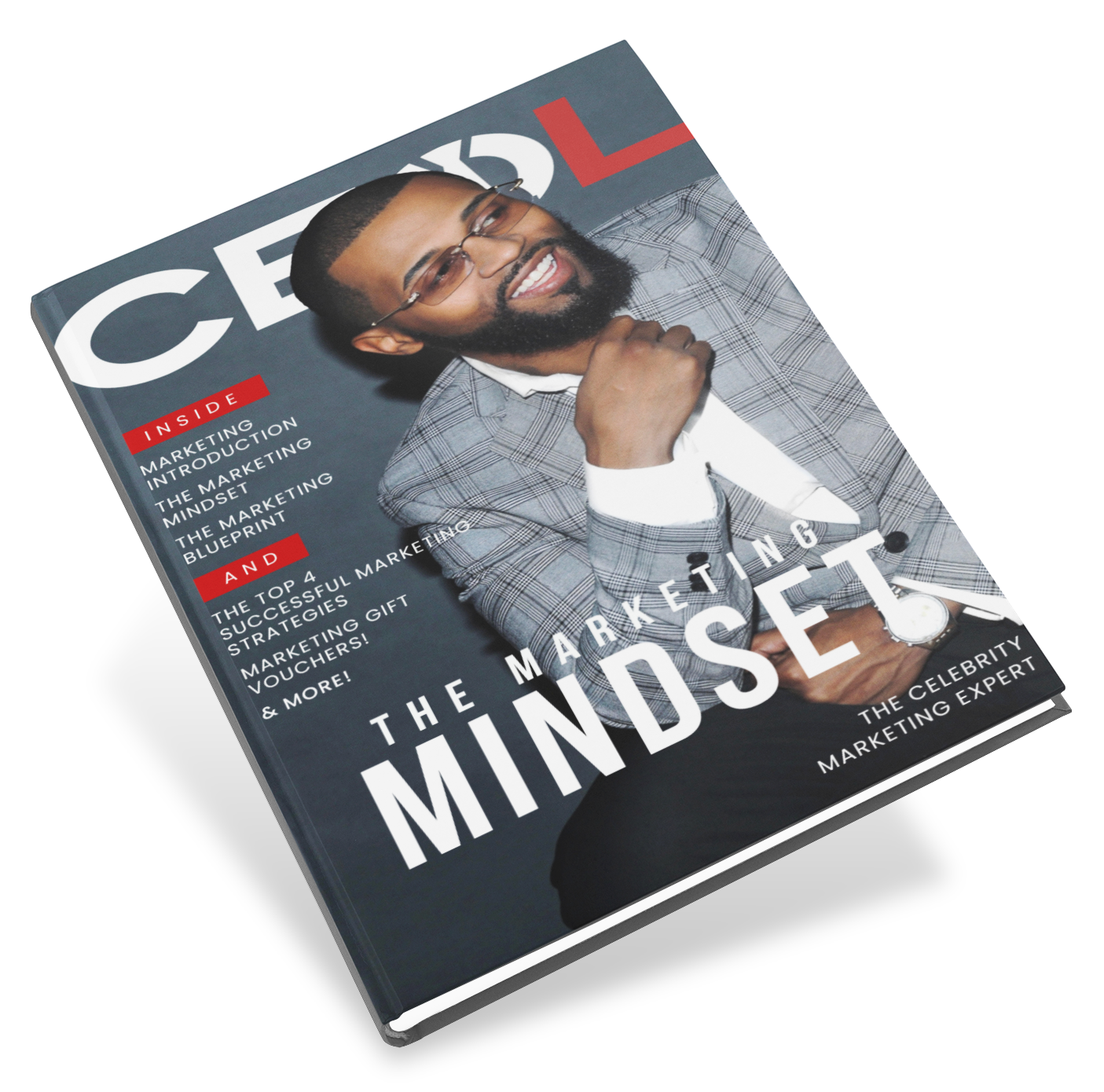 CEO L Marketing Mindset book