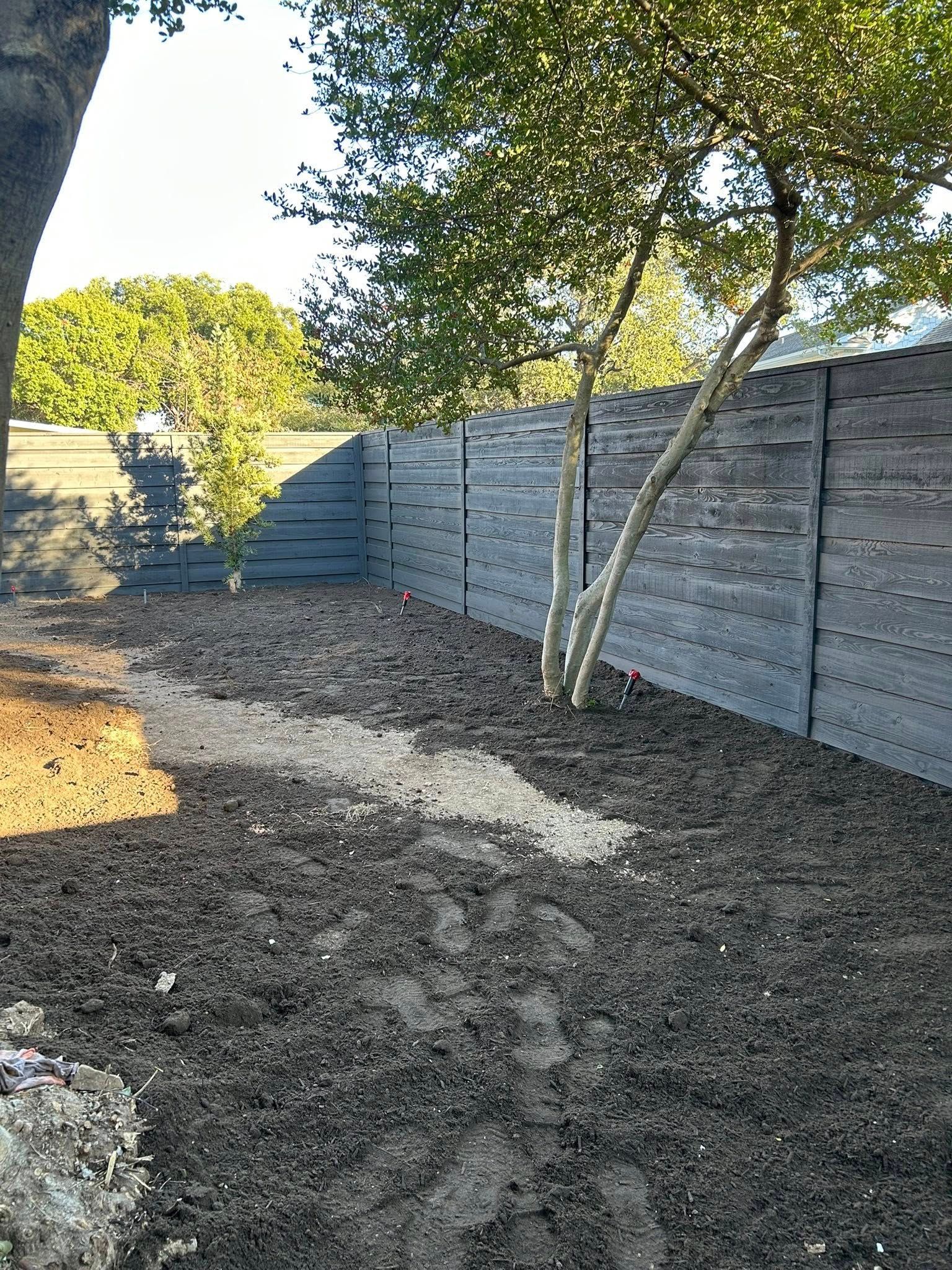 Backyard with a gray fence, dirt ground, and a small tree under sunlight