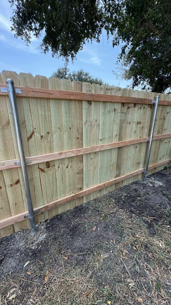 New wooden privacy fence along a dirt yard with trees overhead