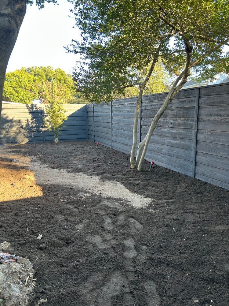 Backyard with dirt ground, a young tree, and a gray wooden fence along the right side