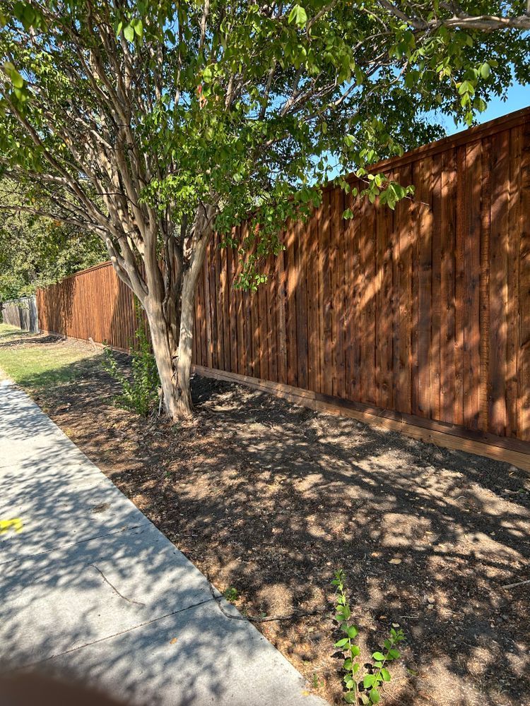 Tree-lined sidewalk beside a tall wooden fence, with sunlit shadows on the ground