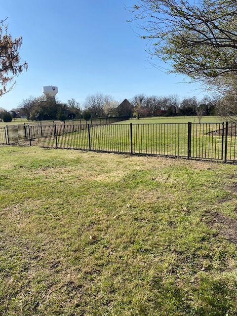 Grassy park field behind a black metal fence under a clear blue sky