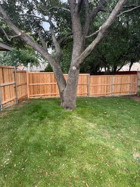 Backyard with a large tree, green grass, and a wooden privacy fence.