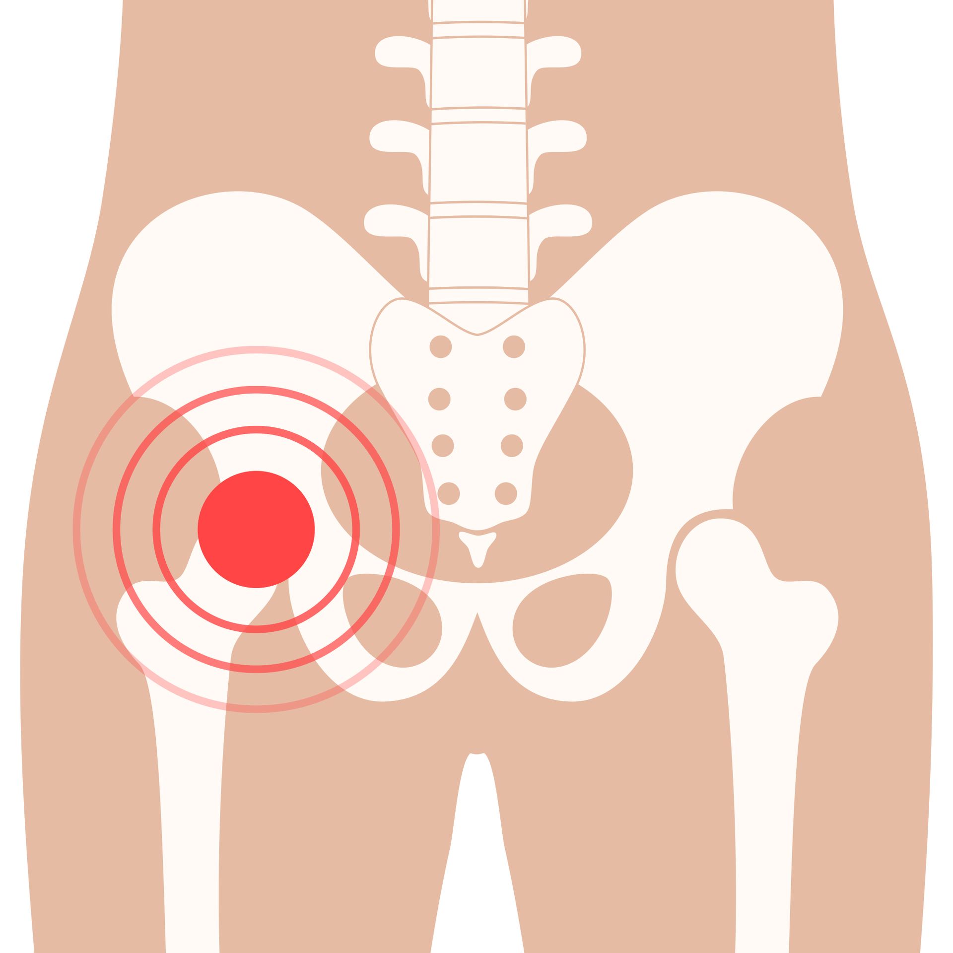 Sacroiliac Joint