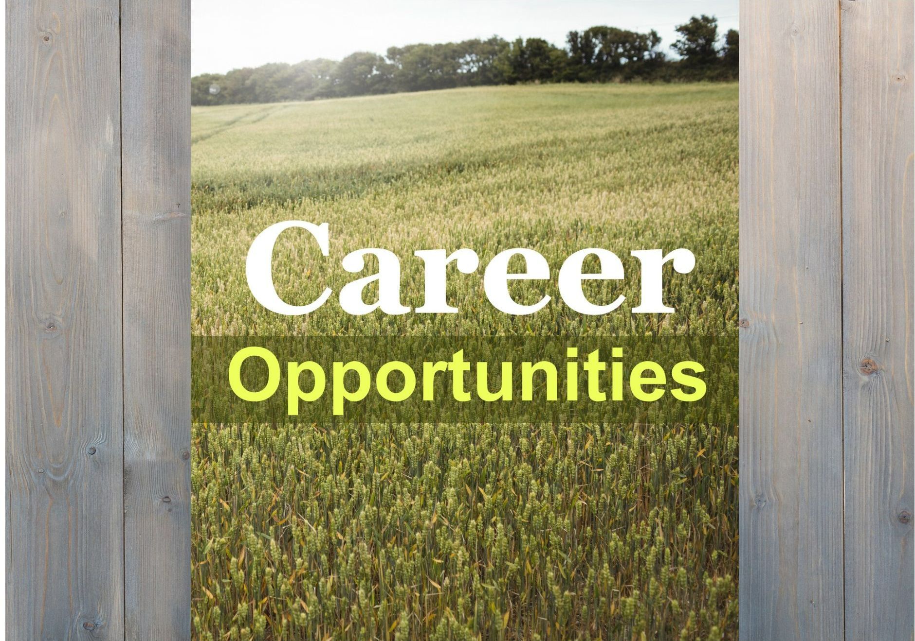 A picture of a field with the words career opportunities on it