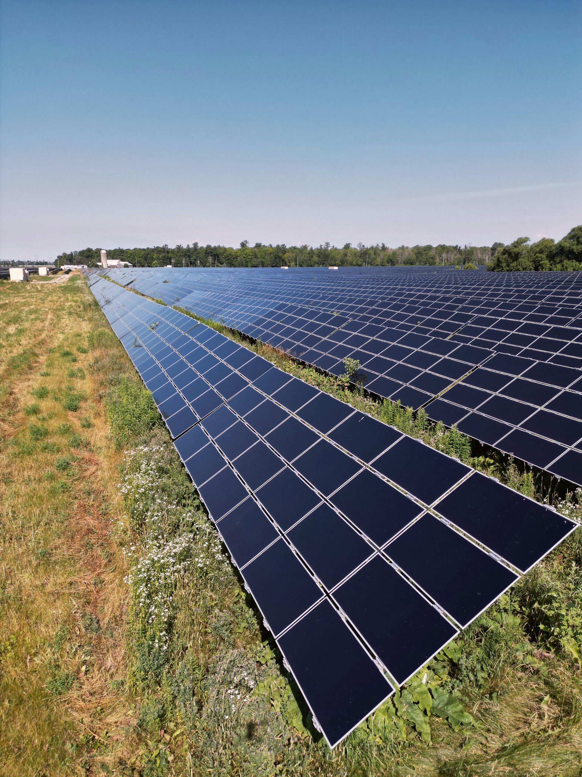 Solar panels stretching across a field under a clear blue sky