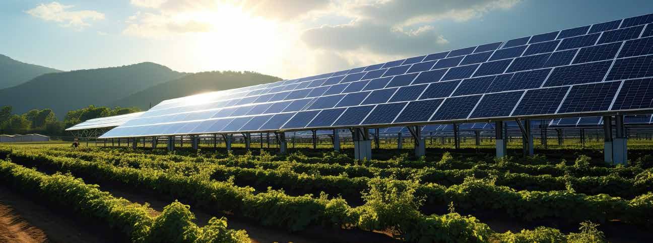 Solar panels in a sunlit field beside green crops and distant hills at sunrise