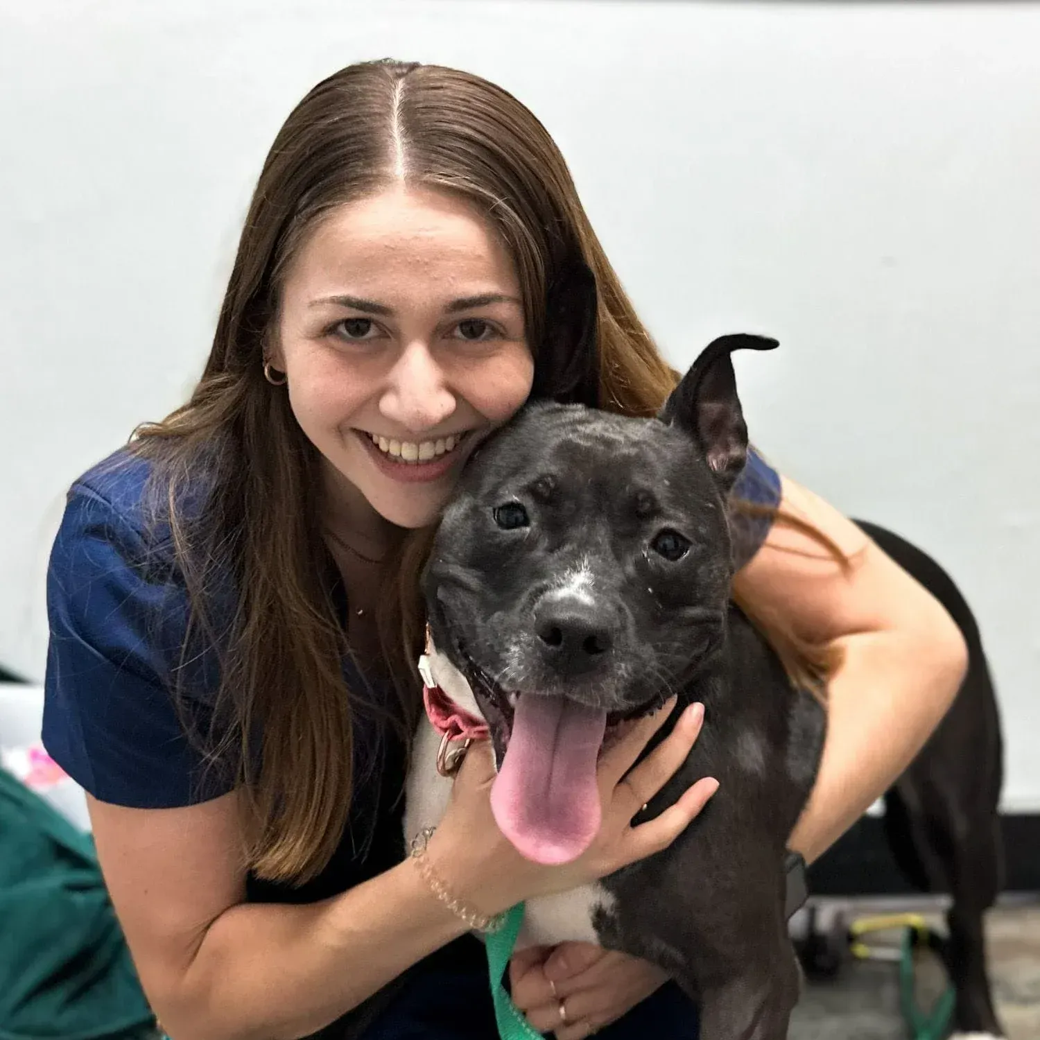 Pet Health Facility | St Louis, MO