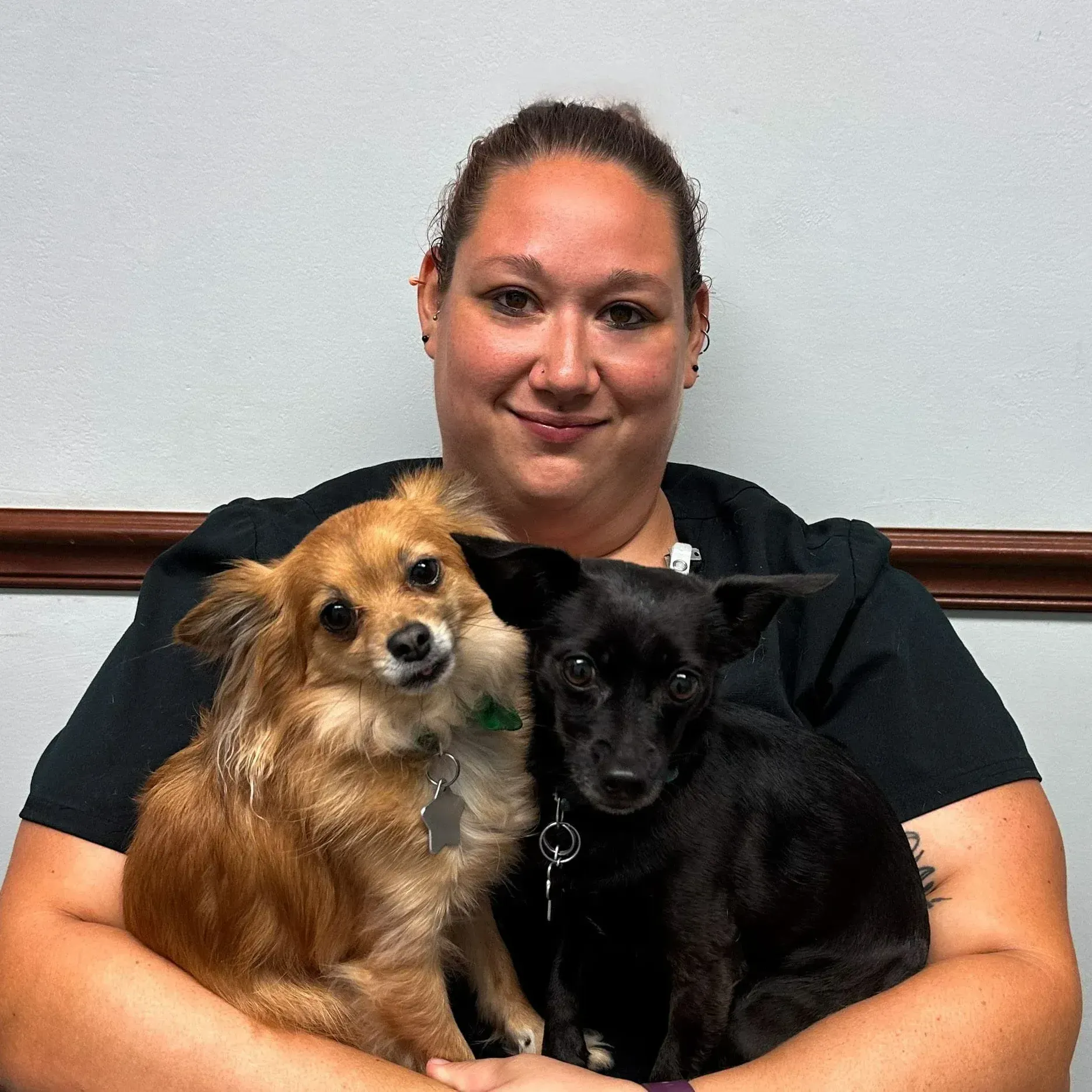 Ashley — St Louis, MO — Watson Road Veterinary Clinic Danni — St Louis, MO — Watson Road Veterinary Clinic
