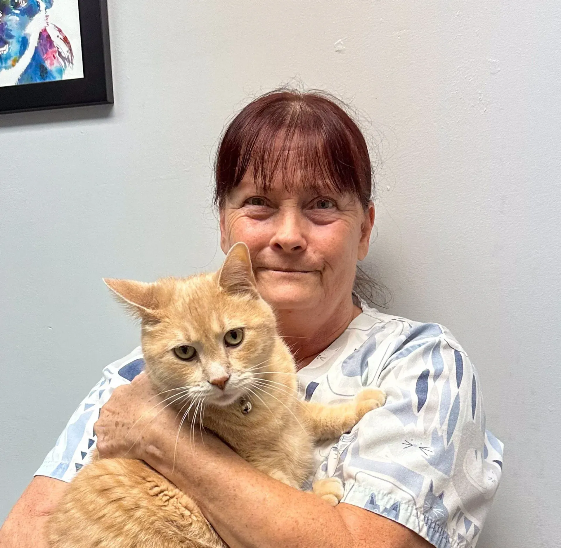 Debbie — St Louis, MO — Watson Road Veterinary Clinic Debbie — St Louis, MO — Watson Road Veterinary Clinic