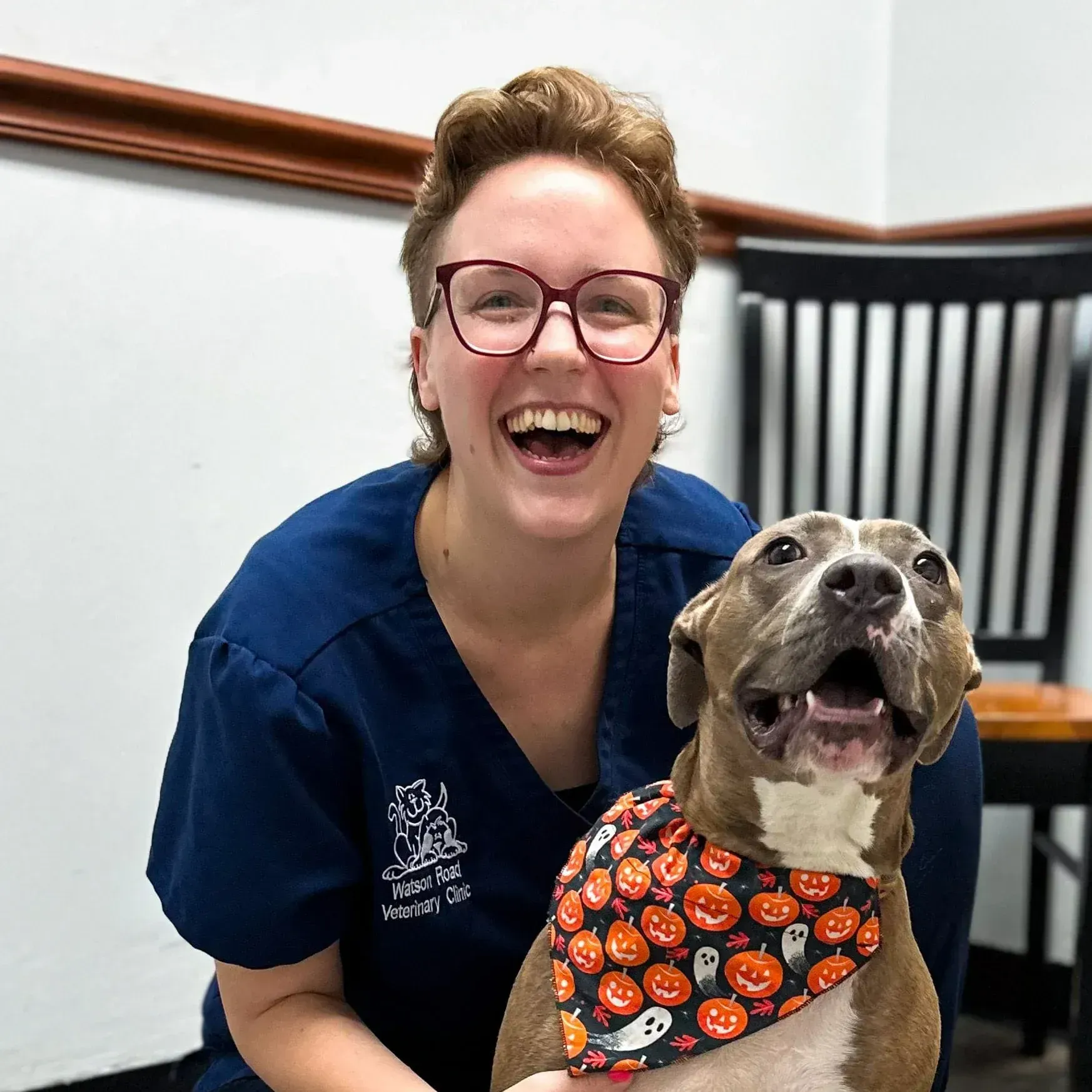Ashley — St Louis, MO — Watson Road Veterinary Clinic Hannah — St Louis, MO — Watson Road Veterinary Clinic