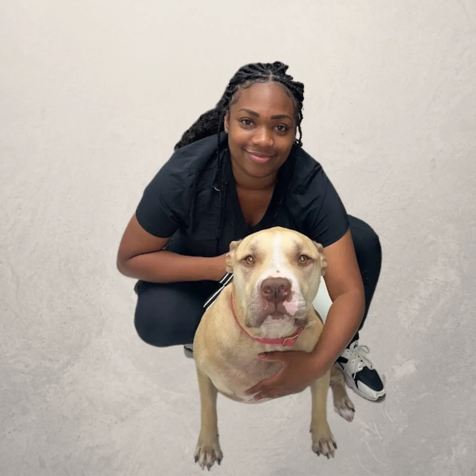 Marina — St Louis, MO — Watson Road Veterinary Clinic Marina — St Louis, MO — Watson Road Veterinary Clinic