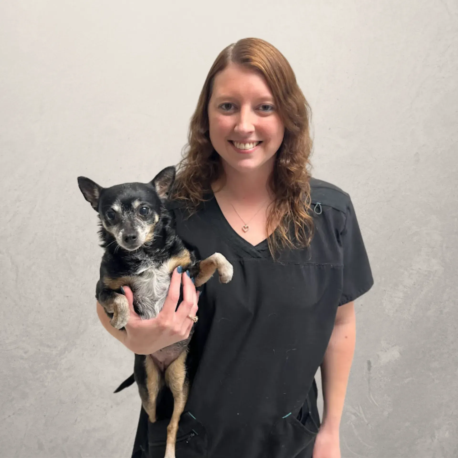 Nate — St Louis, MO — Watson Road Veterinary Clinic Nate — St Louis, MO — Watson Road Veterinary Clinic