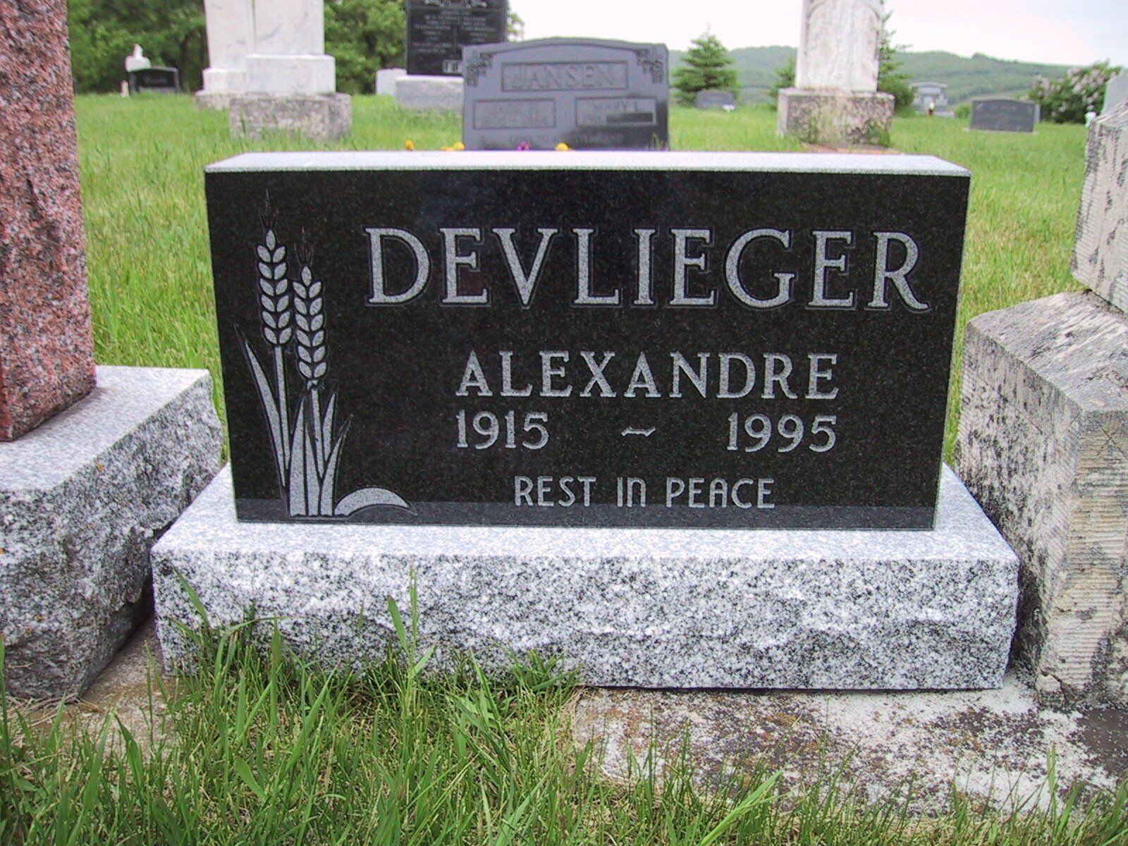 Black granite gravestone for Devlieger Alexandre, 1915–1995, in a cemetery with wheat engraving.