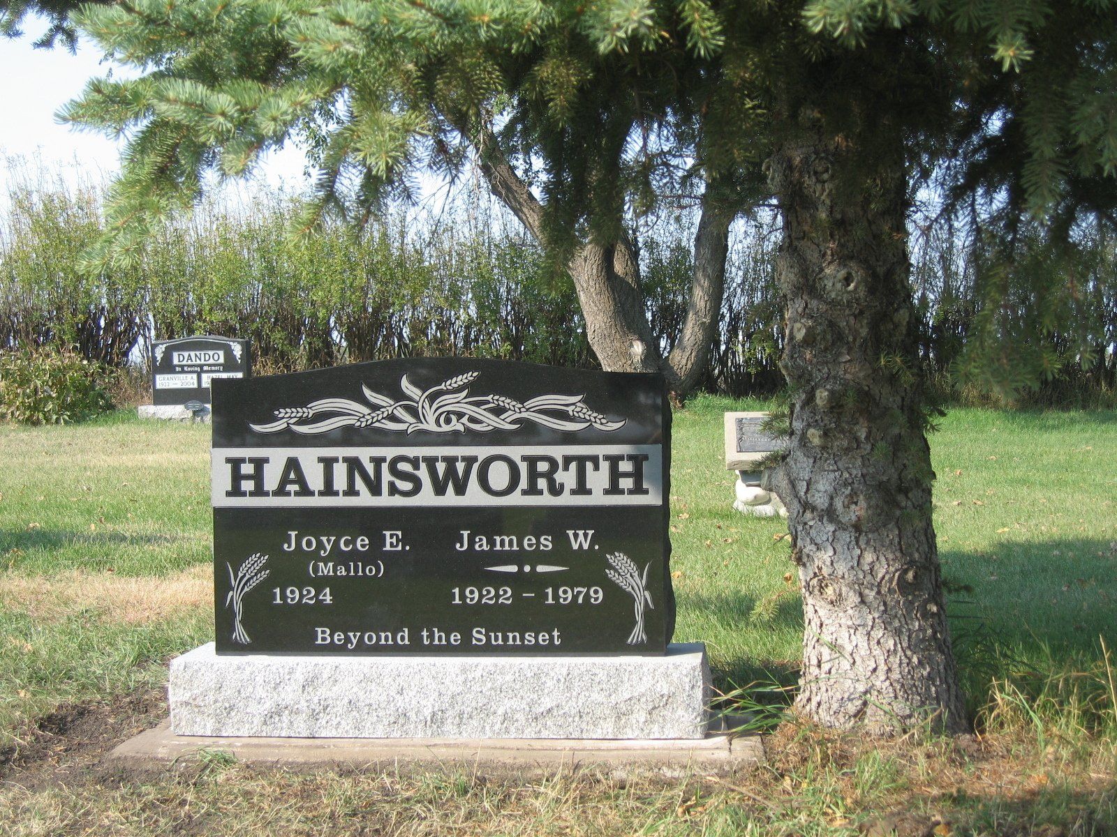 Black Hainsworth family gravestone in a grassy cemetery beneath trees