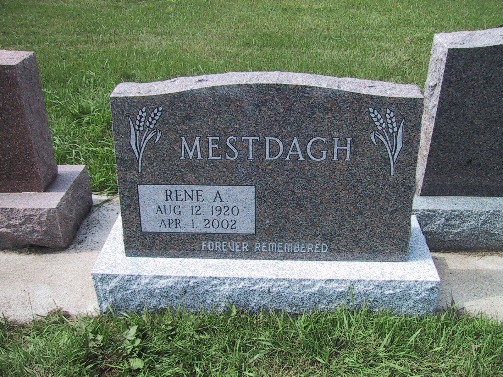 Gray granite gravestone with “MESTDAGH” engraved, set in a grassy cemetery.