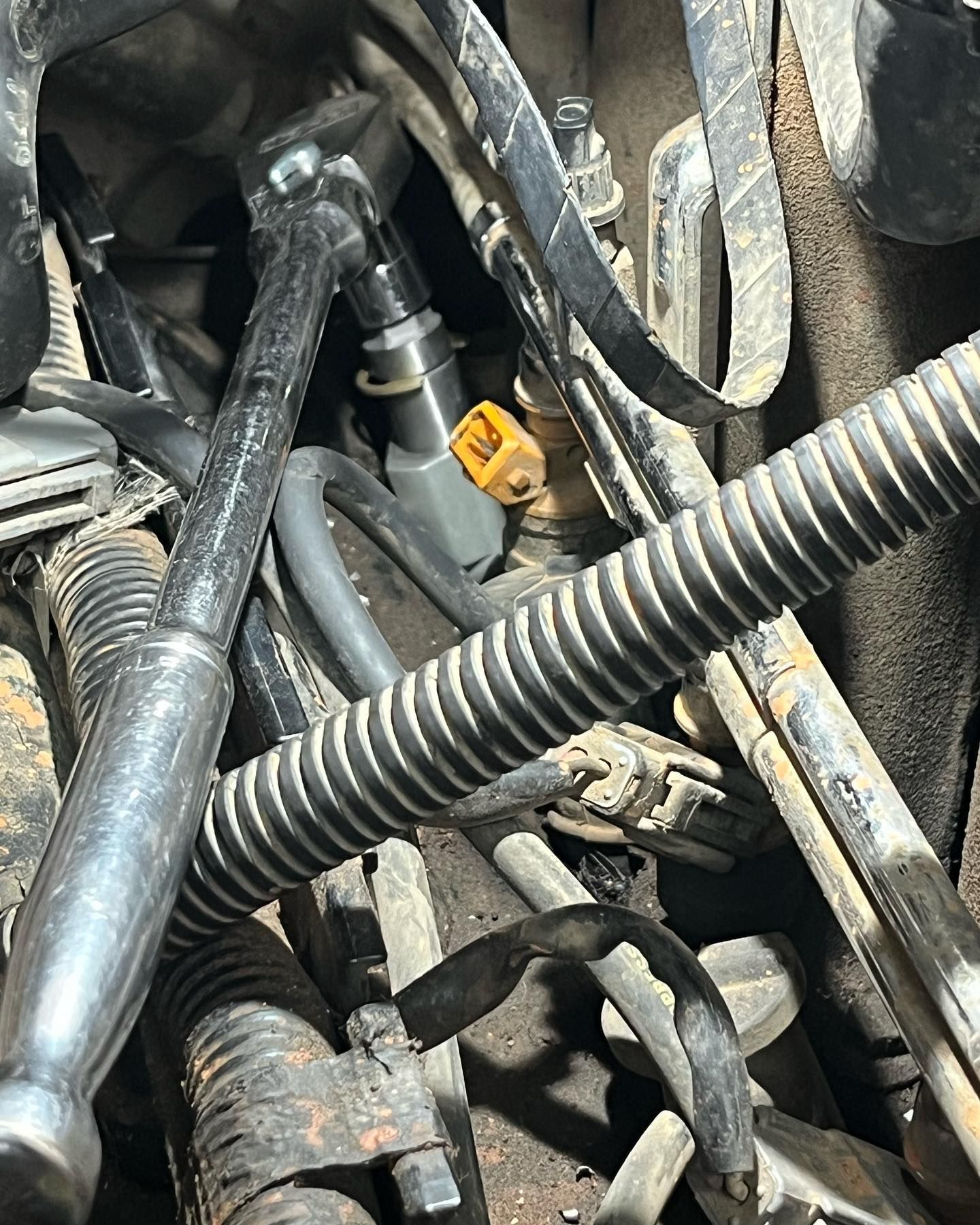 Components Within a Vehicle's Engine Bay | 4D Garage