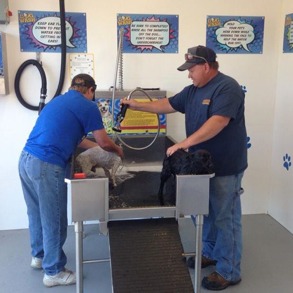Pet Wash
