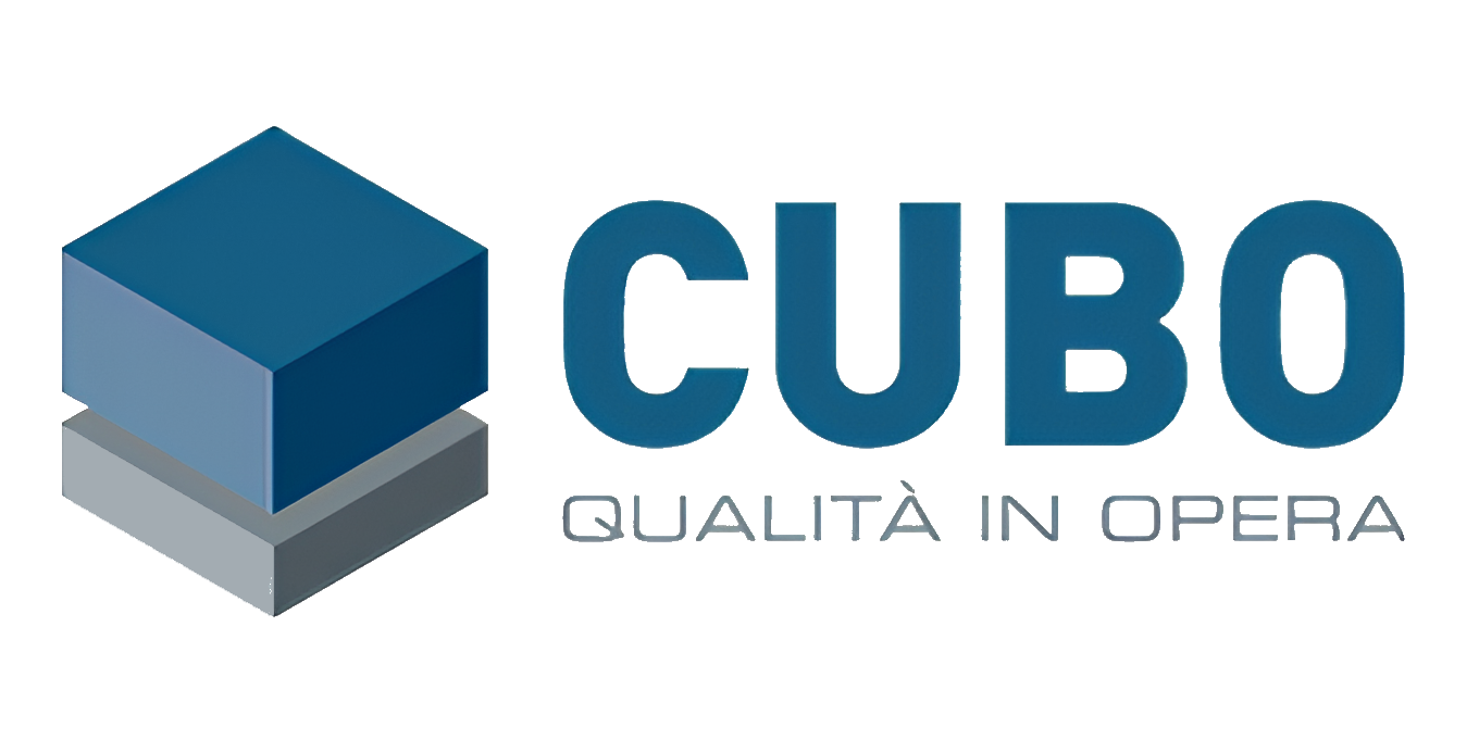 Logo Cubo 2010