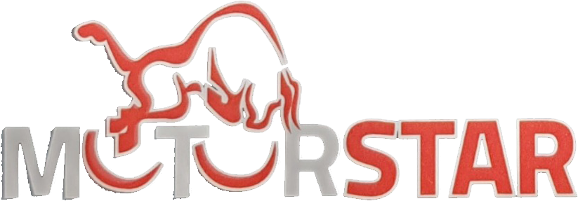 Logo MOTORSTAR SCOOTER E MOTO
